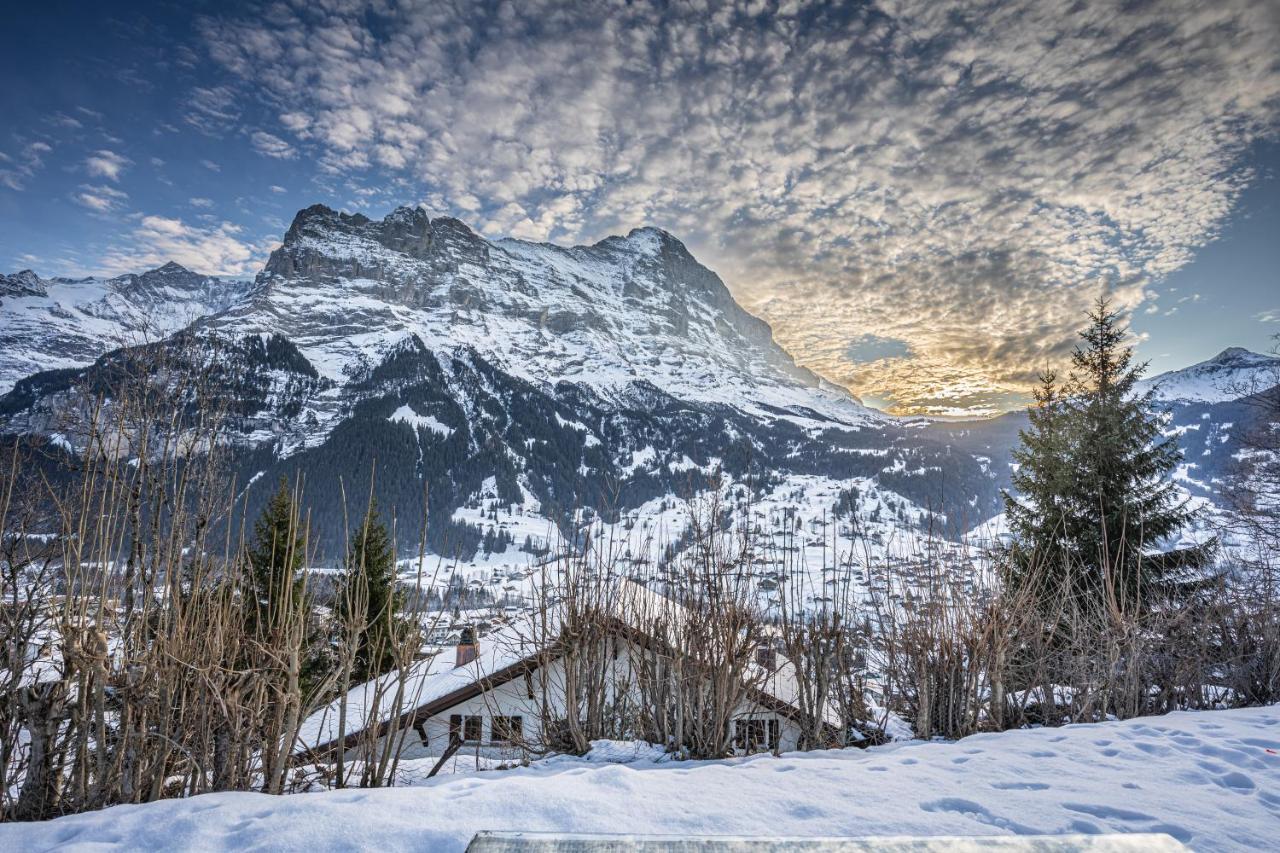Chalet Weid - Aare Jungfrau Ag Grindelwald Eksteriør billede