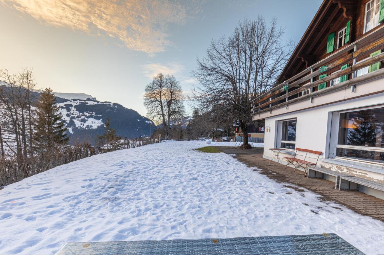 Chalet Weid - Aare Jungfrau Ag Grindelwald Eksteriør billede