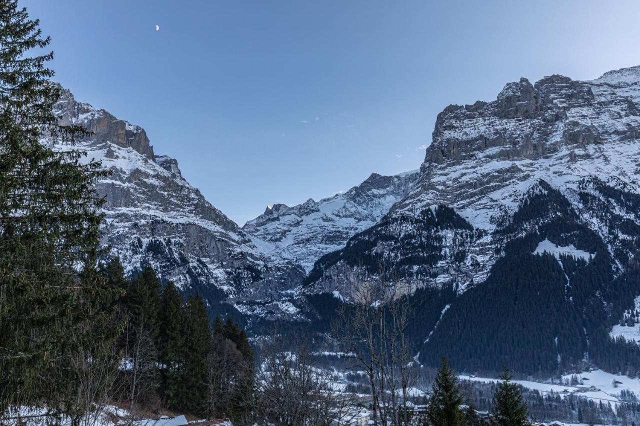 Chalet Weid - Aare Jungfrau Ag Grindelwald Eksteriør billede