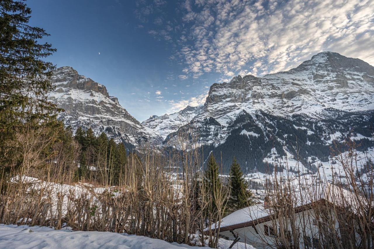 Chalet Weid - Aare Jungfrau Ag Grindelwald Eksteriør billede